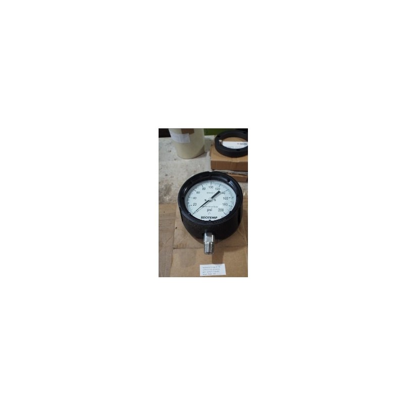 REOTEMP PT45-P1-A2-P20