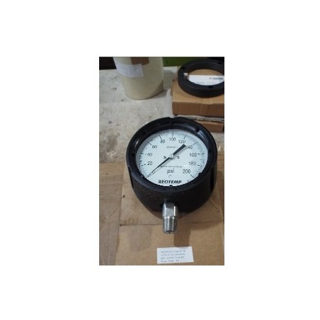 REOTEMP PT45-P1-A2-P20