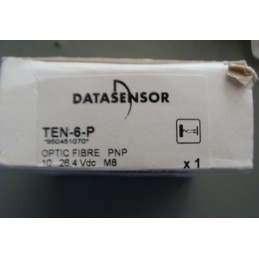 DATASENSOR TEN-6-P