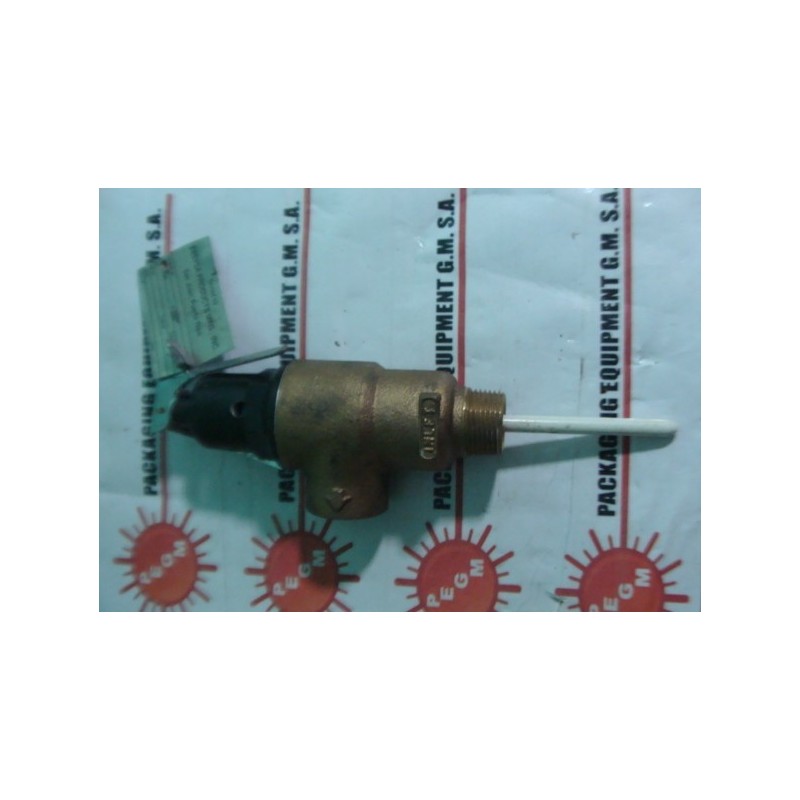 CASH ACME FVMX-3C TEMPERATURE AND PRESSURE RELIEF VALVE