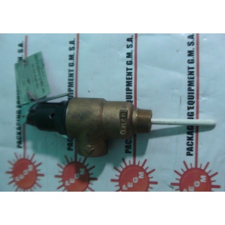 CASH ACME FVMX-3C TEMPERATURE AND PRESSURE RELIEF VALVE