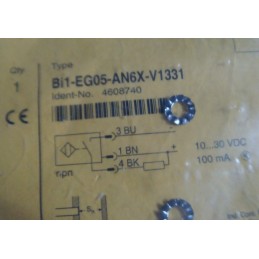 TURCK Bi-EG05-AN6X-V1331