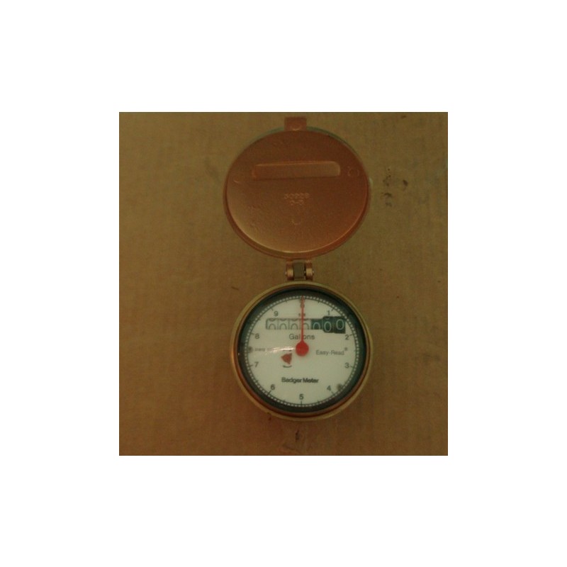 BADGER METER REGULATOR ASEMBLY 57276-001 