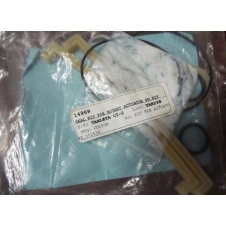 CUSTOM SEAL KIT FOR ROTARY ACTUATOR    552536