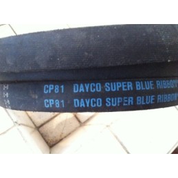 DAYCO BELT CP81