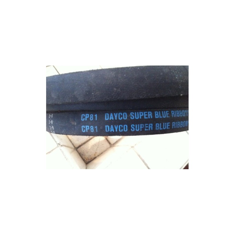 DAYCO BELT CP81