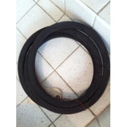 DAYCO BELT CP81