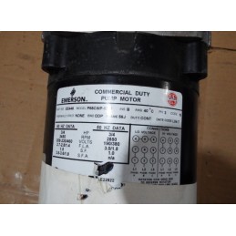 EMERSON DUTY PUMP MOTOR P55CWP-1244