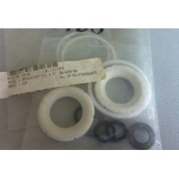 REPAIR KIT FOR A 1" B8-6666-SW /SP-RKSVFB86666RTG