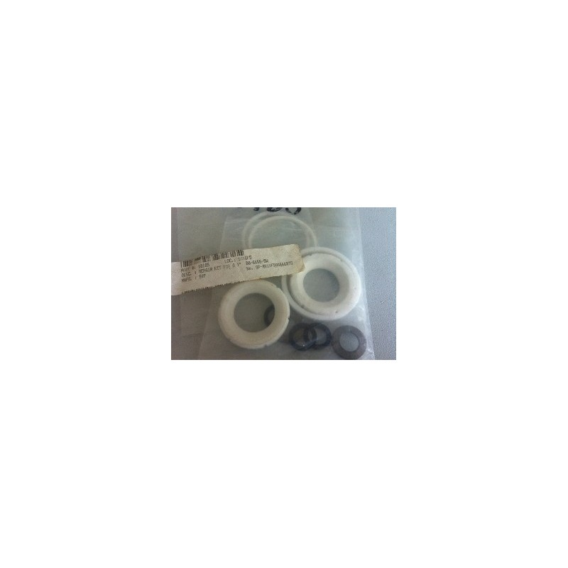 REPAIR KIT FOR A 1" B8-6666-SW /SP-RKSVFB86666RTG