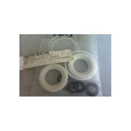 REPAIR KIT FOR A 1" B8-6666-SW /SP-RKSVFB86666RTG