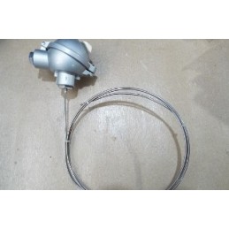 TEMP TRANSMITTER 2XPT100 4L