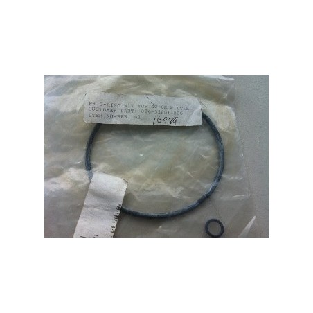 PH 0-RING KIT FOR 40 CN FILTER 026-32001-000