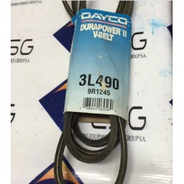 DAYCO 3L490