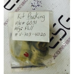 KIT PACKING PALL 6031