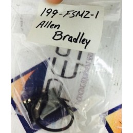 ALLEN BRADLEY 199-FSMZ-I