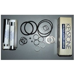 KEY INTERN PUMP SEAL KIT 290100566