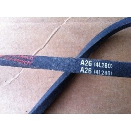 JASON BELT A26