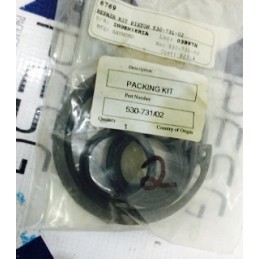 RAYMOND REPAIR KIT PISTON