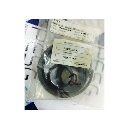 RAYMOND REPAIR KIT PISTON