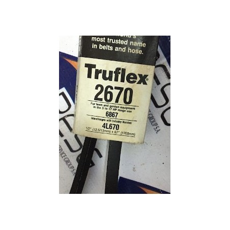 TRUFLEX 2670