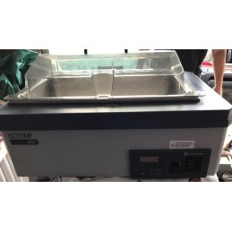 FISHER SCIENTIFIC ISOTEMP 220