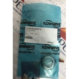 FLOWSERVE 19A19N06