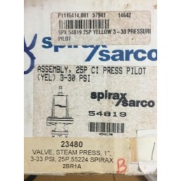 SPIRAX SARCO 54819