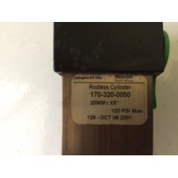 RODLESS CYLINDER 170-320-0050