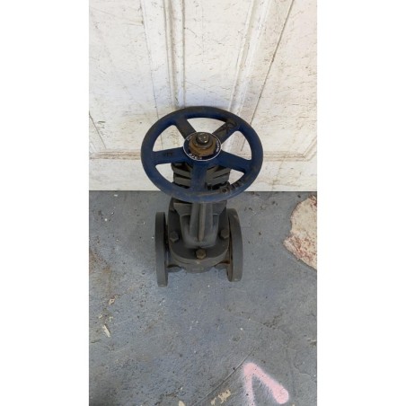 IBBM GATE VALVE