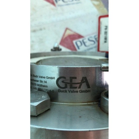 GEA DN100/PN6