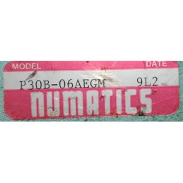 NUMATICS P30B-06AEGM 9L2