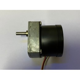 HURST PAS GEAR MOTOR