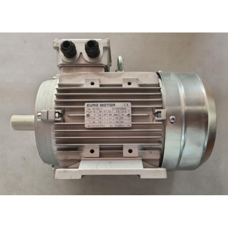 EURO MOTOR MS 100L1-4