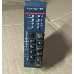 AUTOMATION DIRECT RELAY OUTPUT