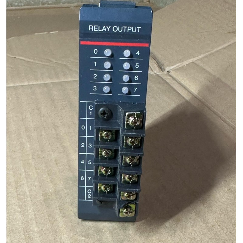 AUTOMATION DIRECT RELAY OUTPUT