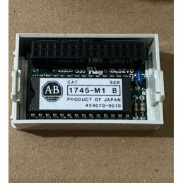 ALLEN BRADLEY 1745-M1