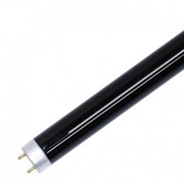 Fluorescent Lamp Ultraviolet   243296