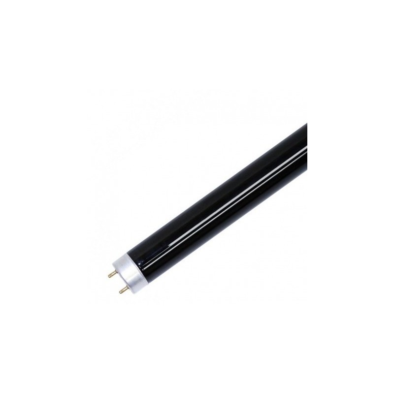 Fluorescent Lamp Ultraviolet   243296