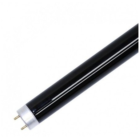 Fluorescent Lamp Ultraviolet   243296