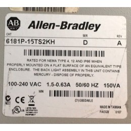 Allen-Bradley 6181P-15TS2KH 