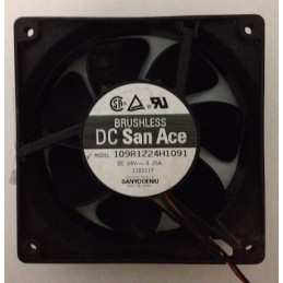 DC SAN ACE 